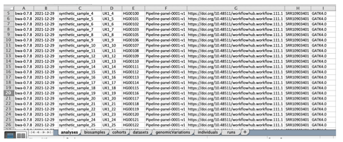 Excel template