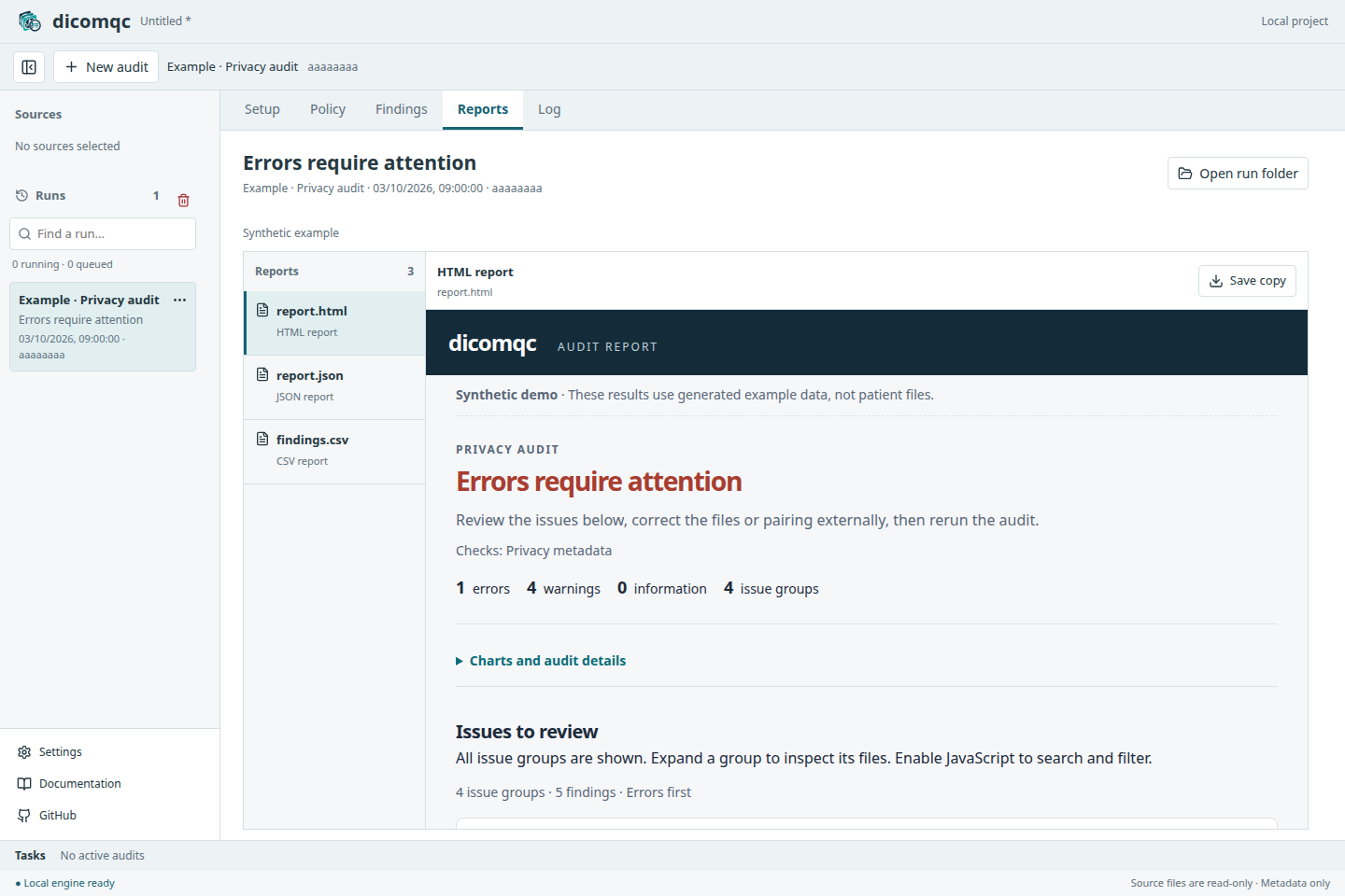 Selected synthetic privacy audit with its HTML report preview and run history.