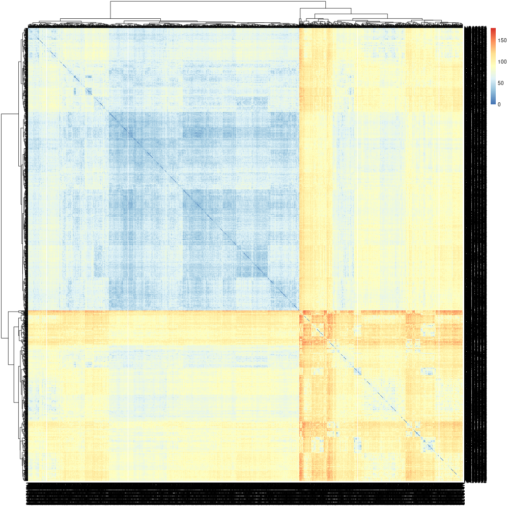 Heatmap